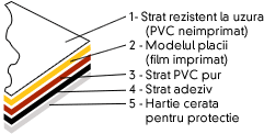 Sectiune